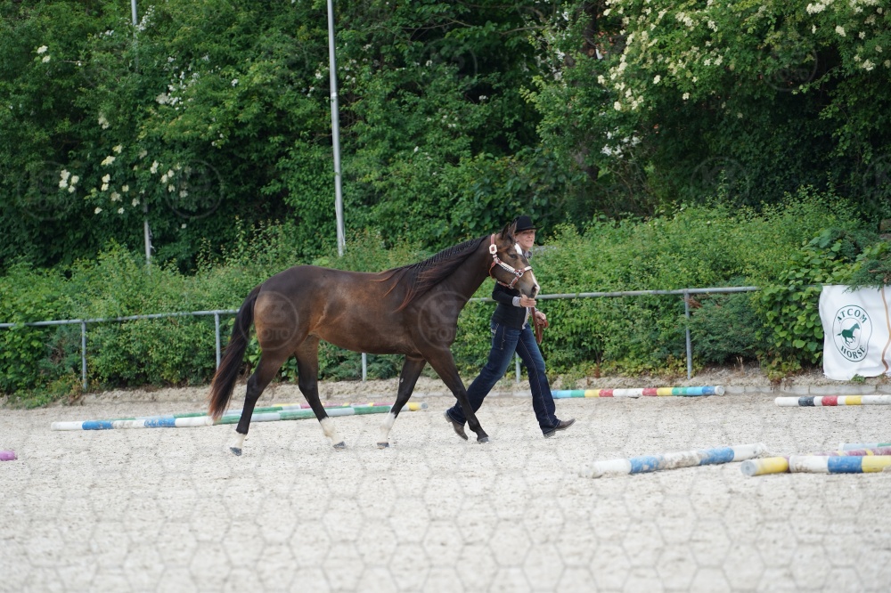 s_A9_06538.jpg